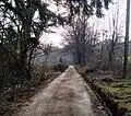 Zugang zum Blumental