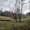 Landschaft im Blumental