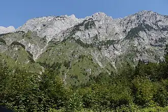 Hinteres Freieck links der Bildmitte