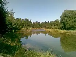 Blick vom Ammersteg