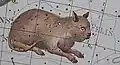 Katze
