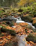 Die Große Bode im Herbst
