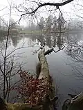 Blick vom Nordufer über den Hammersee