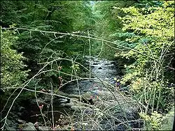 Das Bodetal vom Eingang Treseburg zum Naturschutzgebiet Bodetal