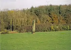Menhir von Bodewryd