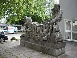 Schwarze Hofmännin