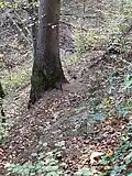Steilschuss bergab