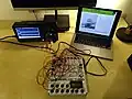 Modell der Insulin-Glukose-Homöostase nach Bolie, simuliert mit THE ANALOG THING.