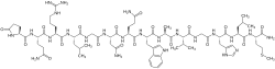 Bombesin (Bombina bombina)
