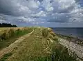 Steilküste bei Booknis (Bognæs) auf der Schwansener Seite am Eingang der Eckernförder Bucht