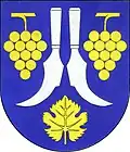 Borschitz