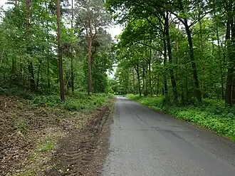Borgheeser Weg