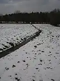 Bornbek nördlich der B207