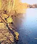 Borner See