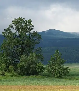 Ansicht von Norden