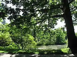 Großer Teich