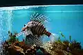 Aquarium