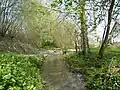 Furt durch das Flüsschen Trie bei Bouillancourt, nahe Moyenneville