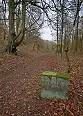 Weg und Grenzstein in East Dale