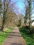 Die alte Landstraße hinunter zum Annick Water