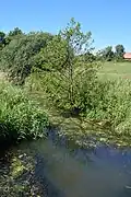 Impression der „Bovenau“