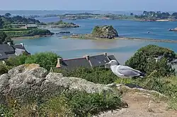 Blick auf Bréhat