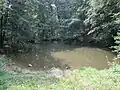 Oberer Bründlteich