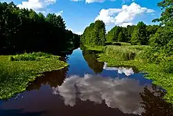 Foto eines Flusses