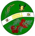 Wappen von Goianápolis unbekannt