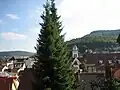 Braunhardsberg
