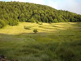 Landschaft