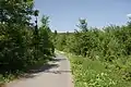 Wanderweg um den See