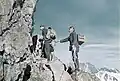 Brieftaubensoldaten beim Klettern
