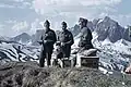 Brieftaubenpatrouille im Gebirge