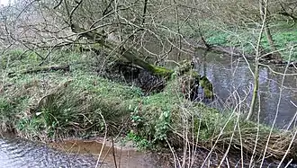 Die Brookbäke
