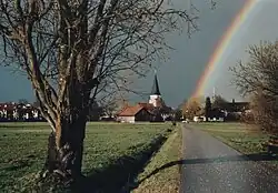Bruchweide auf der Feuchtwiese Taufkirchen. Gefällt 2013