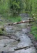 Naturbelassener Brunnbach