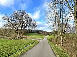 Brunsbachtal nördl. Oberönkfeld