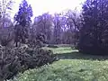 Der Schlosspark
