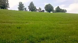 Gipfel des Buchbergs mit Gipfelkreuz aus dem 18. Jahrhundert[1]