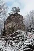 2020 Turm-Mauerreste