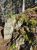 2022 Wiesneck anstehender Gneis oberhalb Felswand