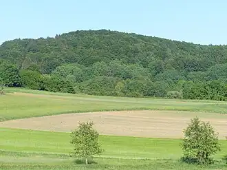 Der Buchenberg, von Südwesten her gesehen