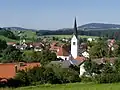 Buchenberg von Osten