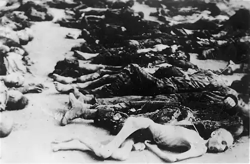 Massengrab, nach der Befreiung, 16.&nbsp;April 1945