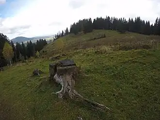 Bucher Berg