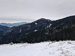Blick vom Schwoabauerkreuz zum Buchkogel, rechts ansteigend der Osser, links hinten die Rote Wand.