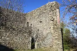 Die Burgruine