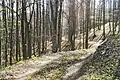 Waldbahntrasse am Vörös-kő-bérc