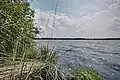 Ufer des Bülter Sees, Juni 2014